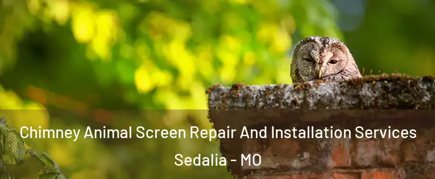  Chimney Animal Screen Repair And Installation Services Sedalia - MO