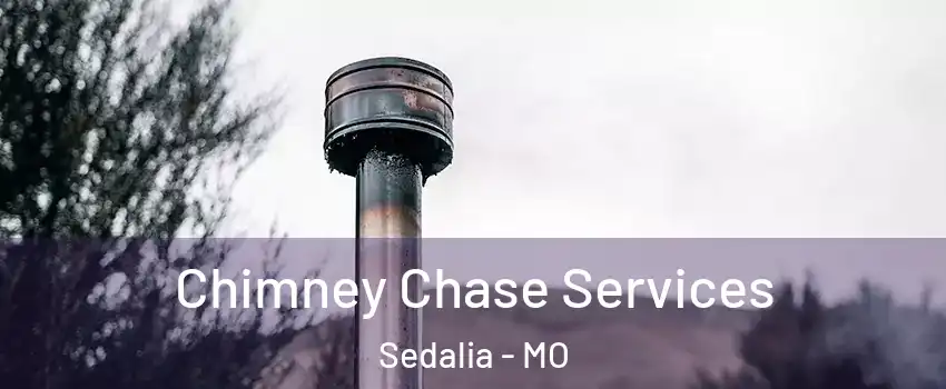  Chimney Chase Services Sedalia - MO