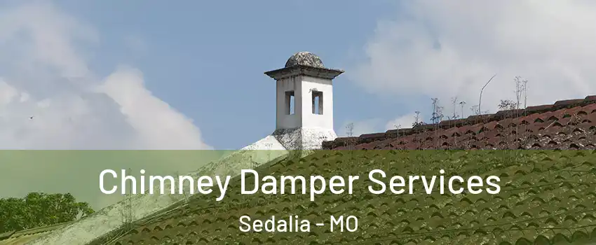  Chimney Damper Services Sedalia - MO