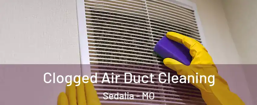  Clogged Air Duct Cleaning Sedalia - MO