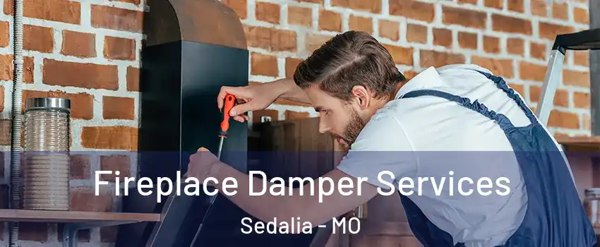  Fireplace Damper Services Sedalia - MO