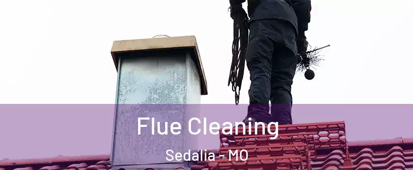  Flue Cleaning Sedalia - MO