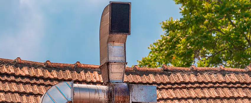 Chimney Blockage Removal in Sedalia, Missouri